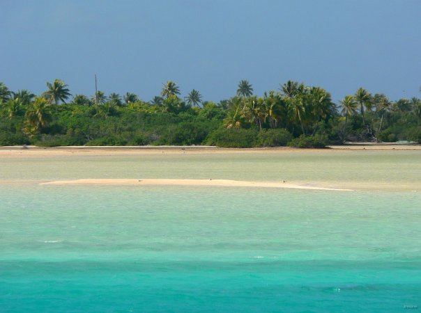 68- Les sables roses de Rangiroa 